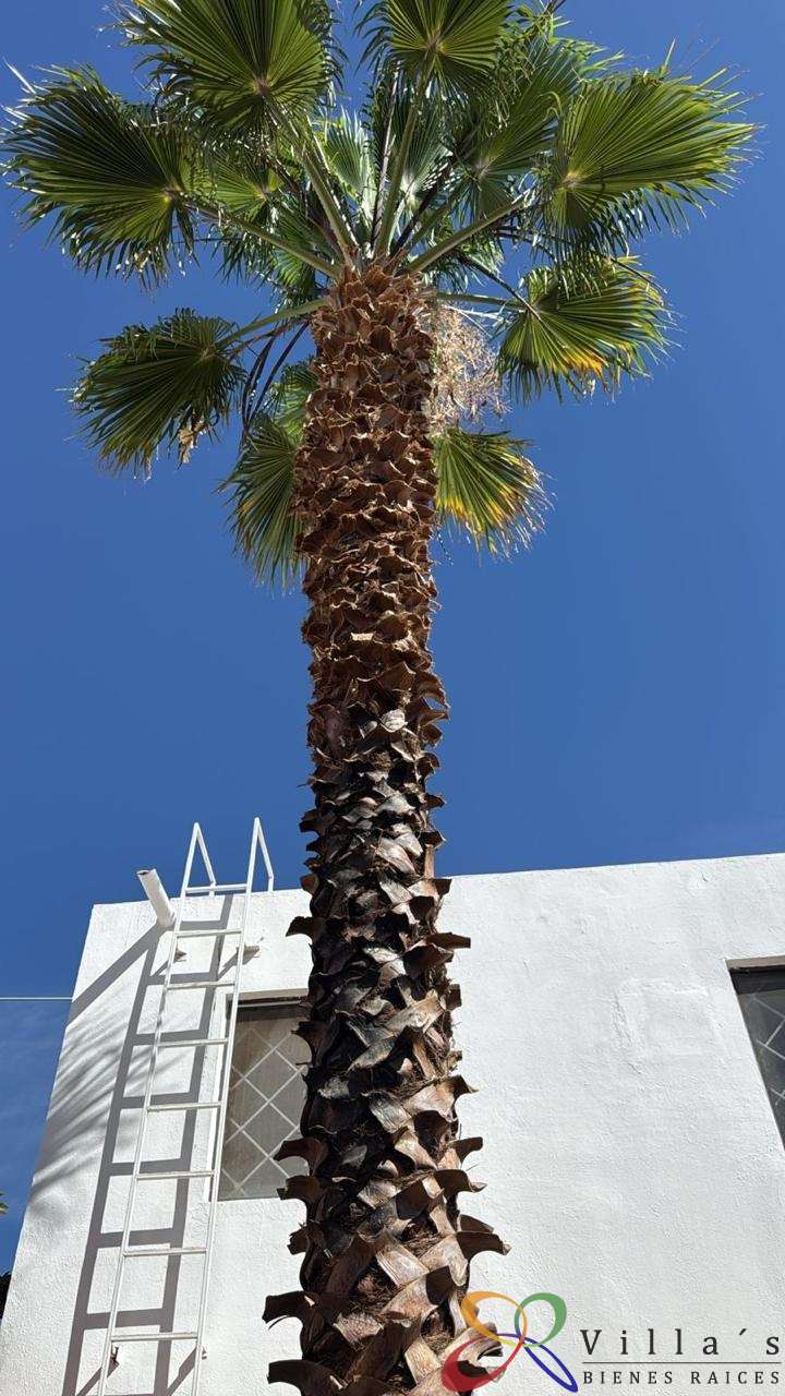 WhatsApp Image 2026-04-27 at 5.04.10 PM (5).jpg